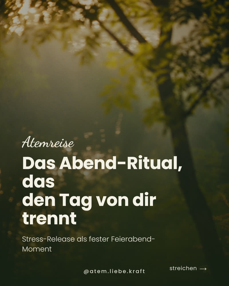 Abend-Ritual, das den Tag von dir trennt, Goldstunde im Wald